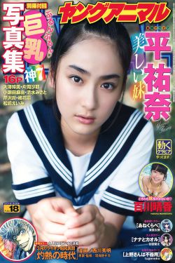 美版忍风战队